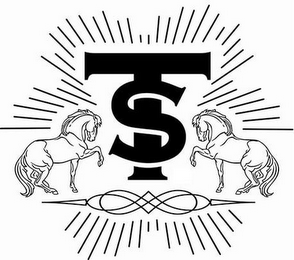 T S logo