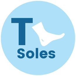 T-SOLES logo