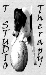 T STUDIO THERAPY logo
