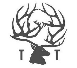 T T logo