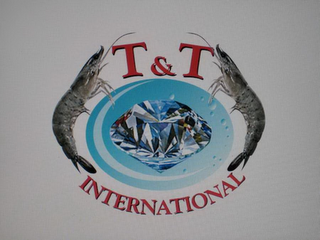 T & T INTERNATIONAL logo