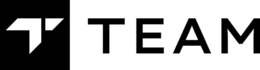 T TEAM logo