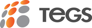 T TEGS logo