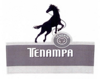 T TENAMPA logo