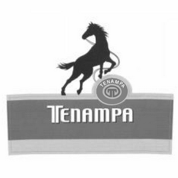 T TENAMPA logo