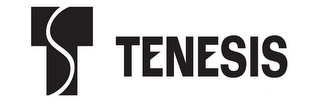 T TENESIS logo