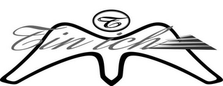 T TIN ICH logo