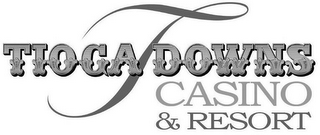 T TIOGA DOWNS CASINO & RESORT logo