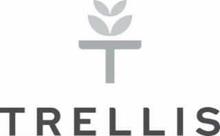 T TRELLIS logo