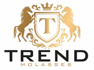 T TREND MOLASSES logo