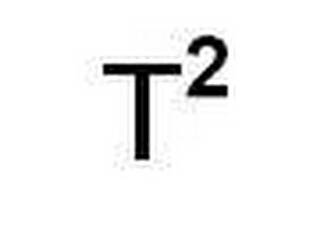 T2 logo
