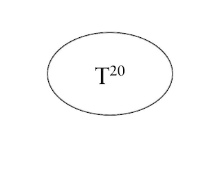 T20 logo