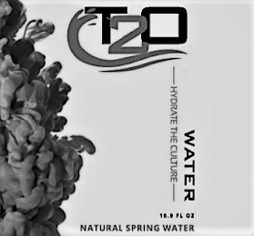 T2O WATER HYDRATE THE CULTURE NATURAL SPRING WATER 16.9 FL OZ logo