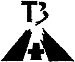 T3 1+1 logo
