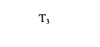 T3 logo