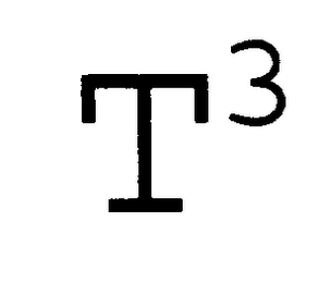 T3 logo