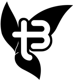 T3 logo