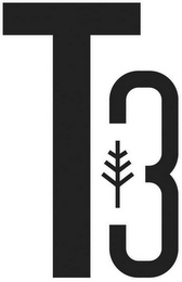 T3 logo
