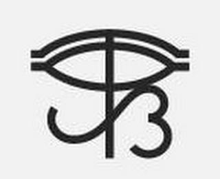 T3 logo