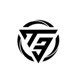 T3 logo