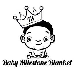 T3 BABY MILESTONE BLANKET logo