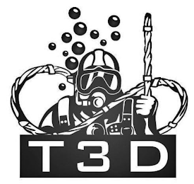 T3D logo
