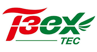 T3EX TEC logo