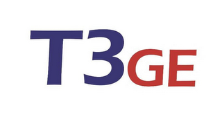 T3GE logo