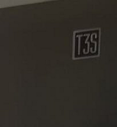 T3S logo