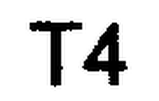 T4 logo