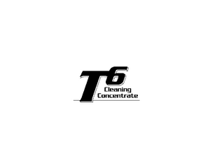T6 CLEANING CONCENTRATE logo