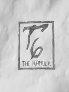 T6 THE FORMULA logo