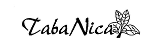 TABA NICA logo