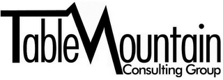 TABLE MOUNTAIN CONSULTING GROUP logo