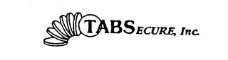 TABSECURE, INC. logo