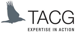 TACG EXPERTISE IN ACTION logo