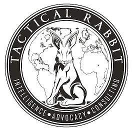 TACTICAL RABBIT INTELLIGENCE ADVOCACY CONSULTING logo
