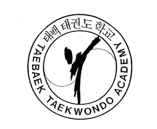 TAEBAEK TAEKWONDO ACADEMY logo