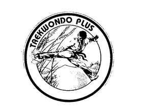 TAEKWONDO PLUS logo