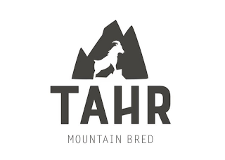 TAHR MOUNTAIN BRED logo