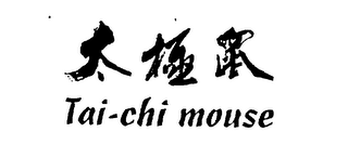 TAI-CHI MOUSE logo