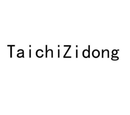 TAICHIZIDONG logo