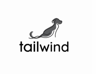 TAILWIND logo