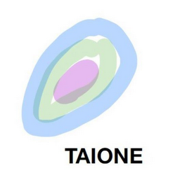 TAIONE logo