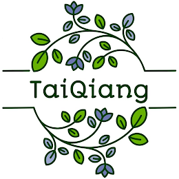 TAIQIANG logo