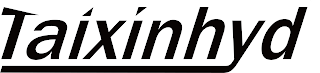 TAIXINHYD logo