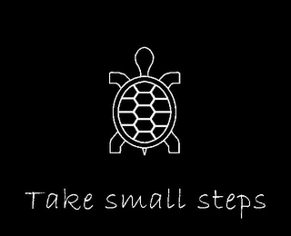 TAKE SMALL STEPS logo