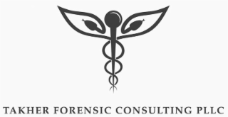 TAKHER FORENSIC CONSULTING PLLC logo