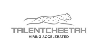 TALENT CHEETAH HIRING ACCELERATED logo