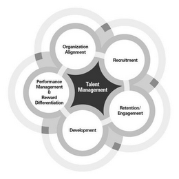 TALENT MANAGEMENT RECRUITMENT RETENTION ENGAGEMENT DEVELOPMENT PERFORMANCE MANAGEMENT & REWARD DIFFERENTIATION, ORGANIZATION ALIGNMENT logo